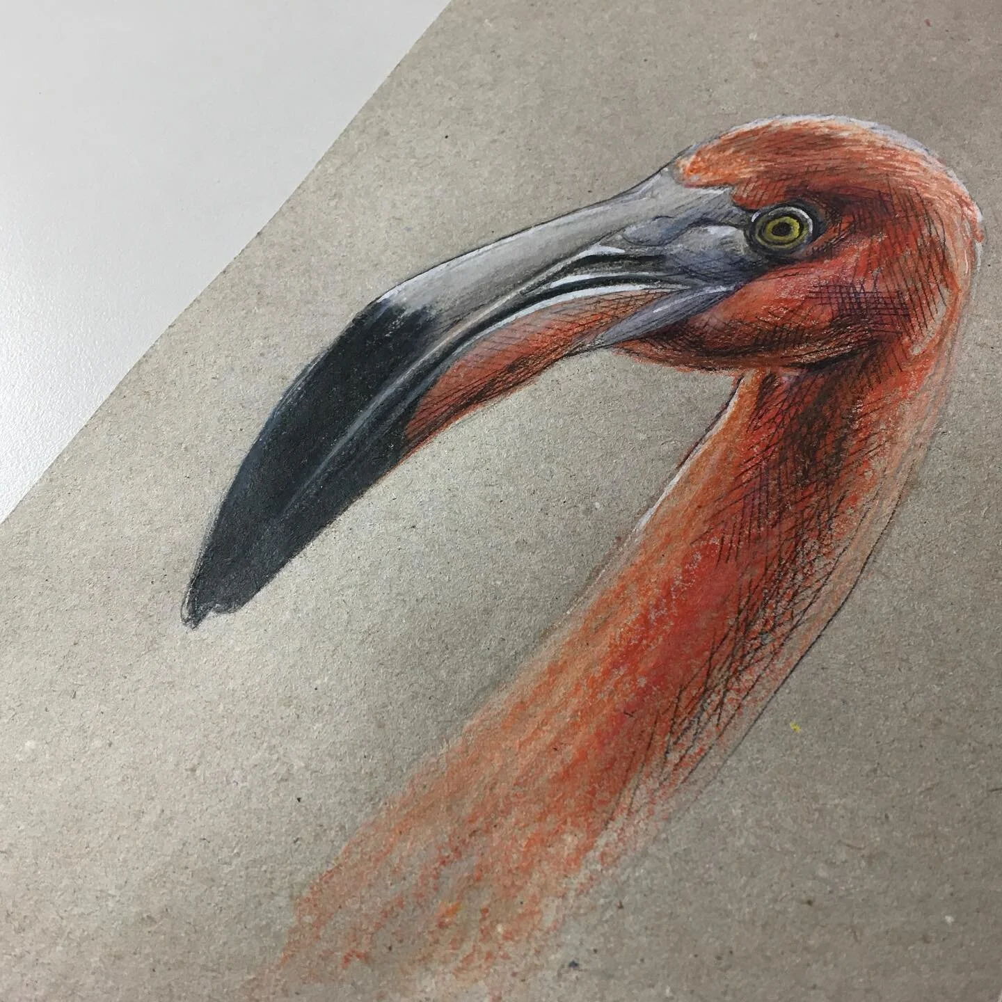 wish you a happy new year!!
.
just did my last sketch in 2020 :)
thank you for all that positive feedback! <3
.
.
.
.
.
#flamingo #a5 #watercolor #sketch #fun #sketch #newyear #2020 #pencil #handmade #animal #portrait #instaart #maliartworks #by_m