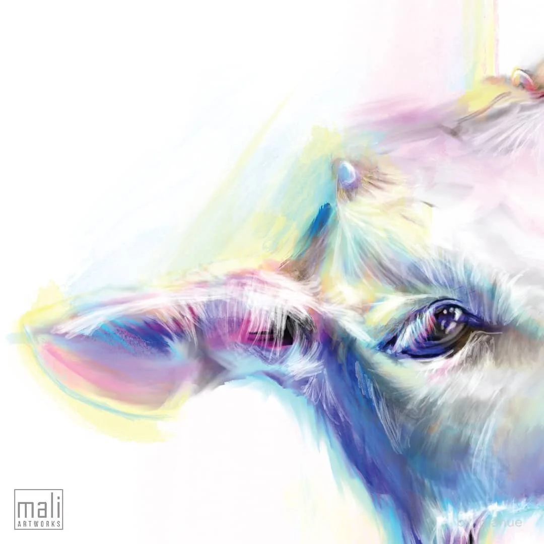 oh my goat, more details!! :)
.
🐐 #baaaa
.
.
.
.
#color #rainbow #cute #little #goat #Digital #painting # tablet #procreate #tender #vibes #explorer #by_manue