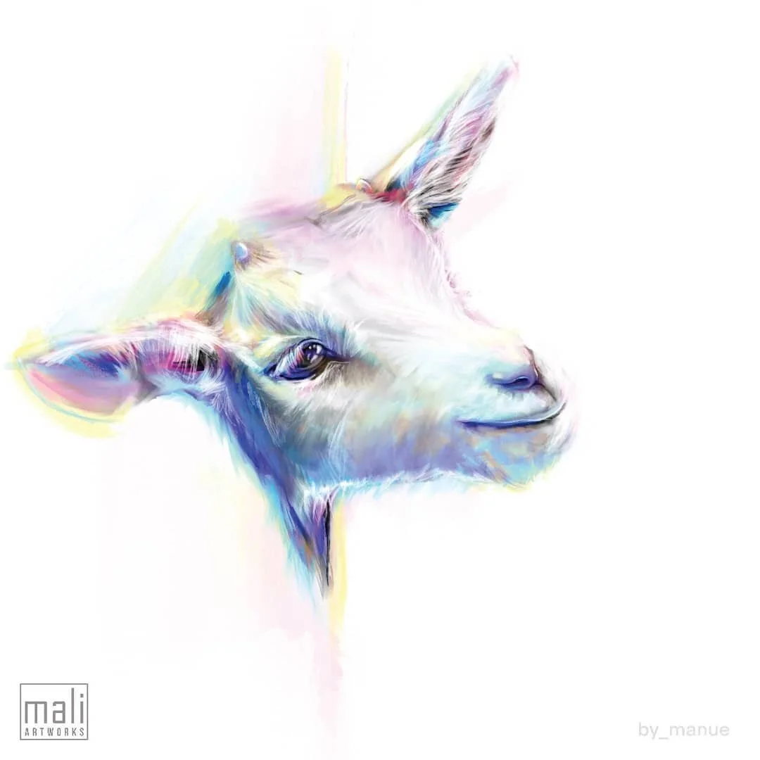i want to have a little goat 🐐 :)
.
.
.
.
.
#colorfull #life #cute #goat #digital #painting #digitalart #procreate #tabletdrawing #animalsofinstagram #kind #little #explorer #by_manue