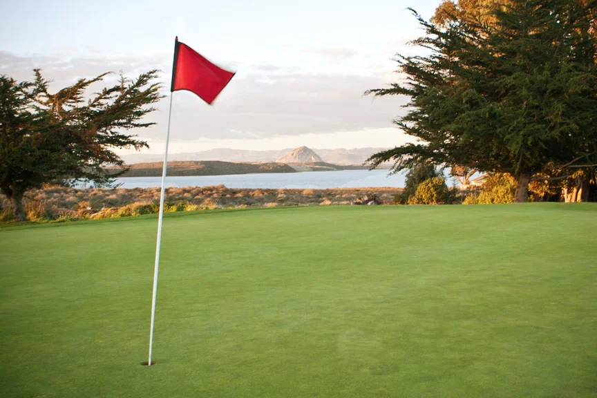 Sea Pines Picture.jpg