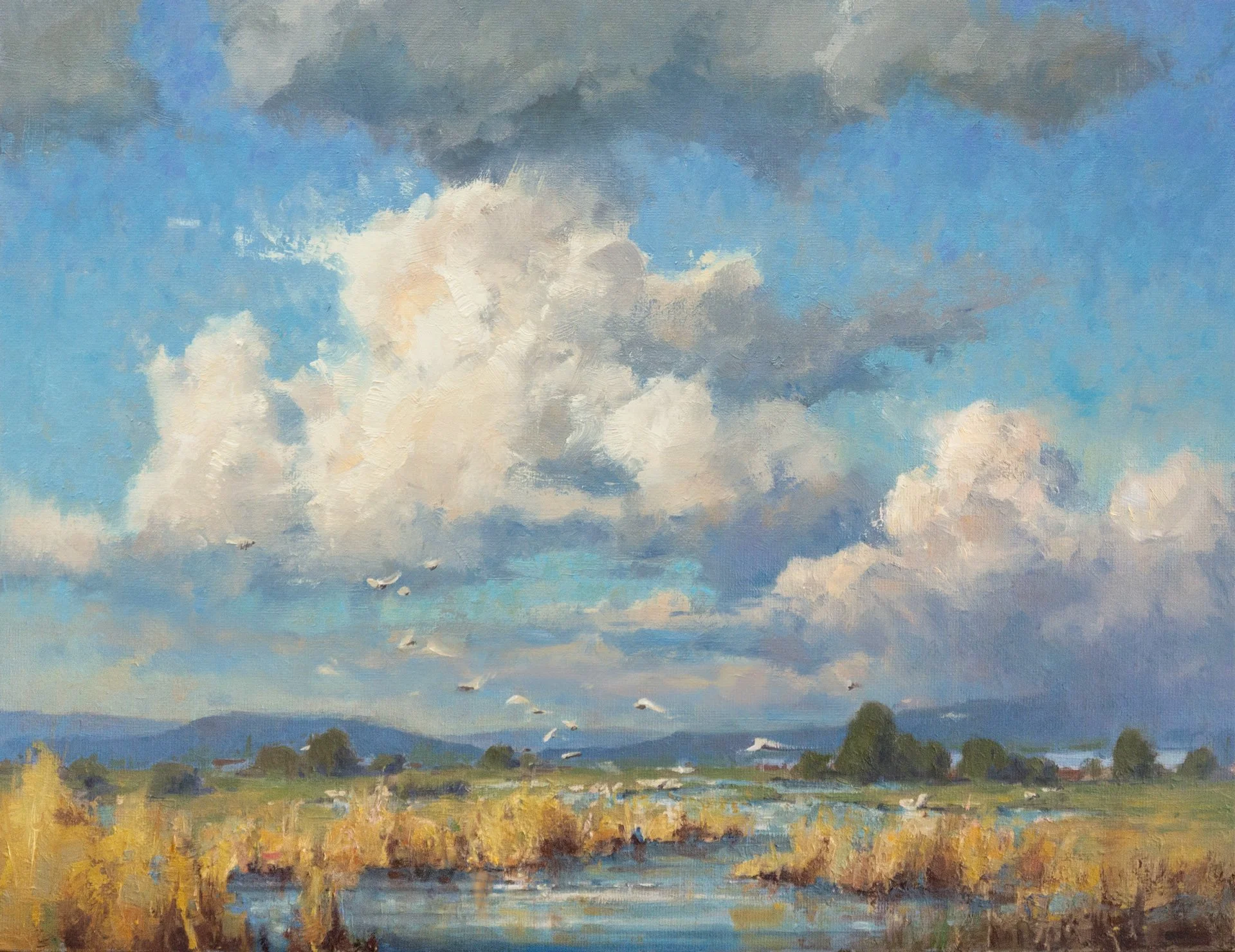 SkyValley_11-14inches_1920_istaritsin.jpg