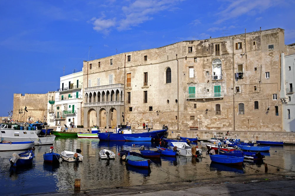 MONOPOLI