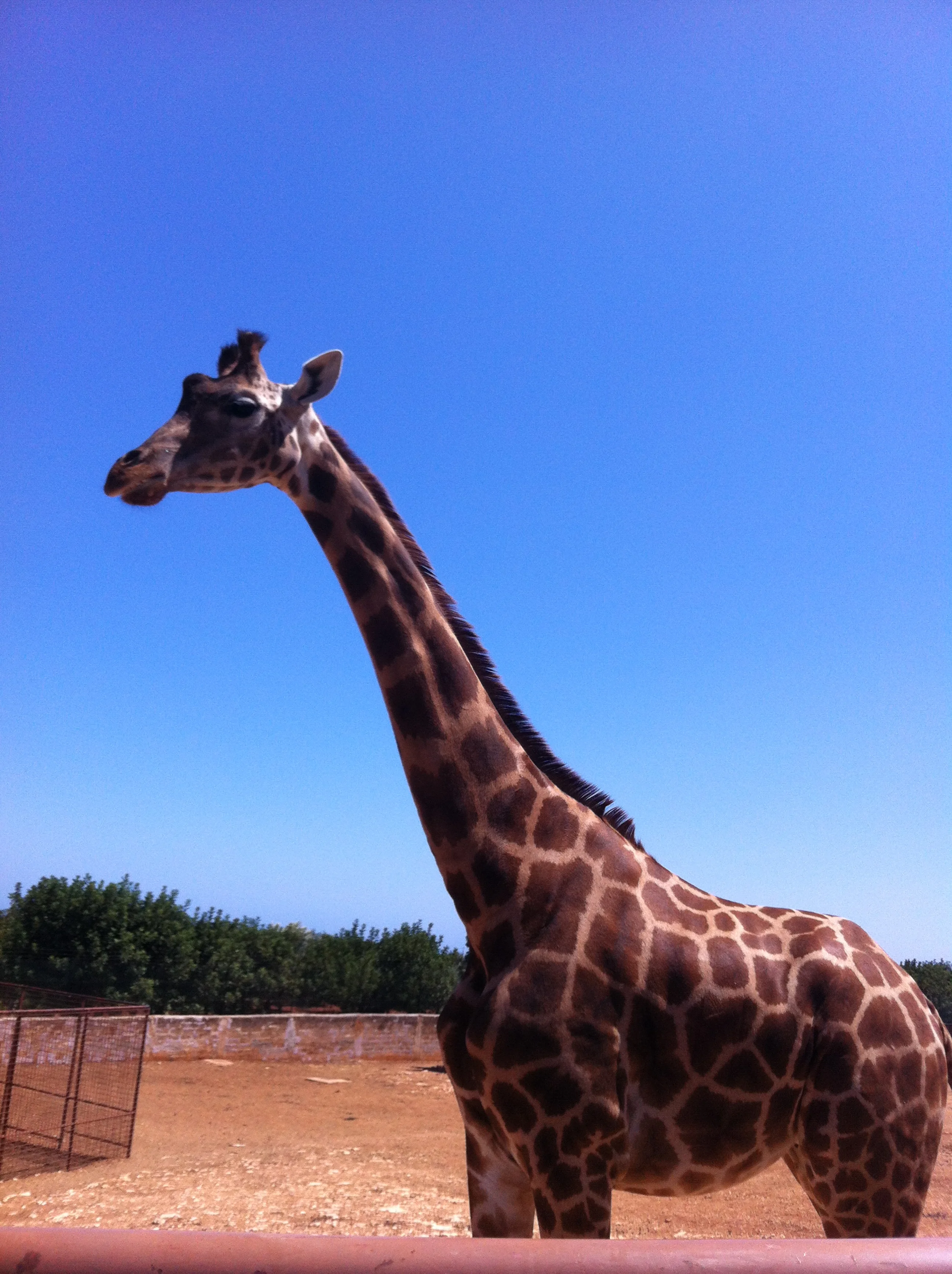 Zoosafari