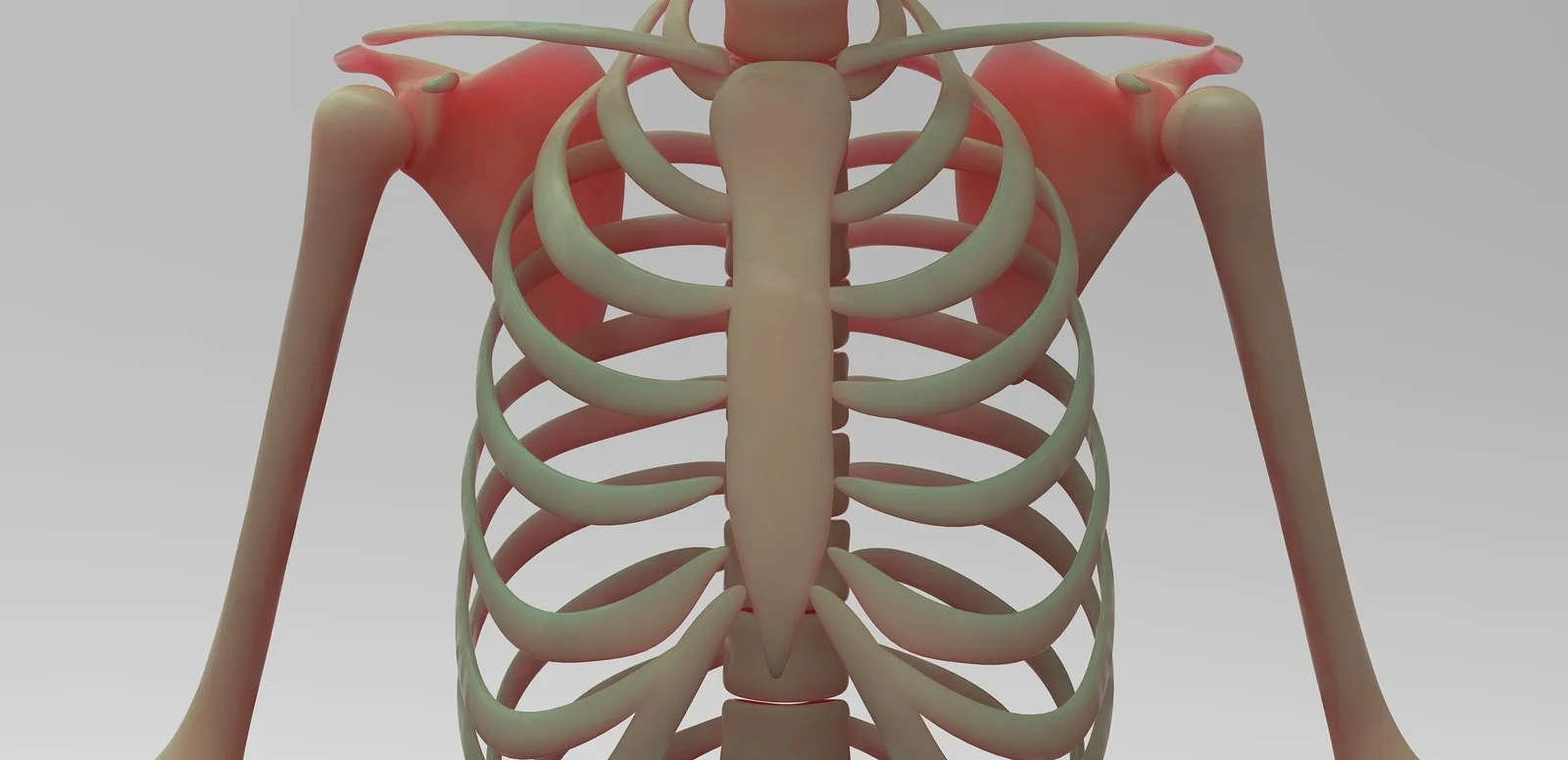 bigstock-Human-skeleton-105108530.jpg