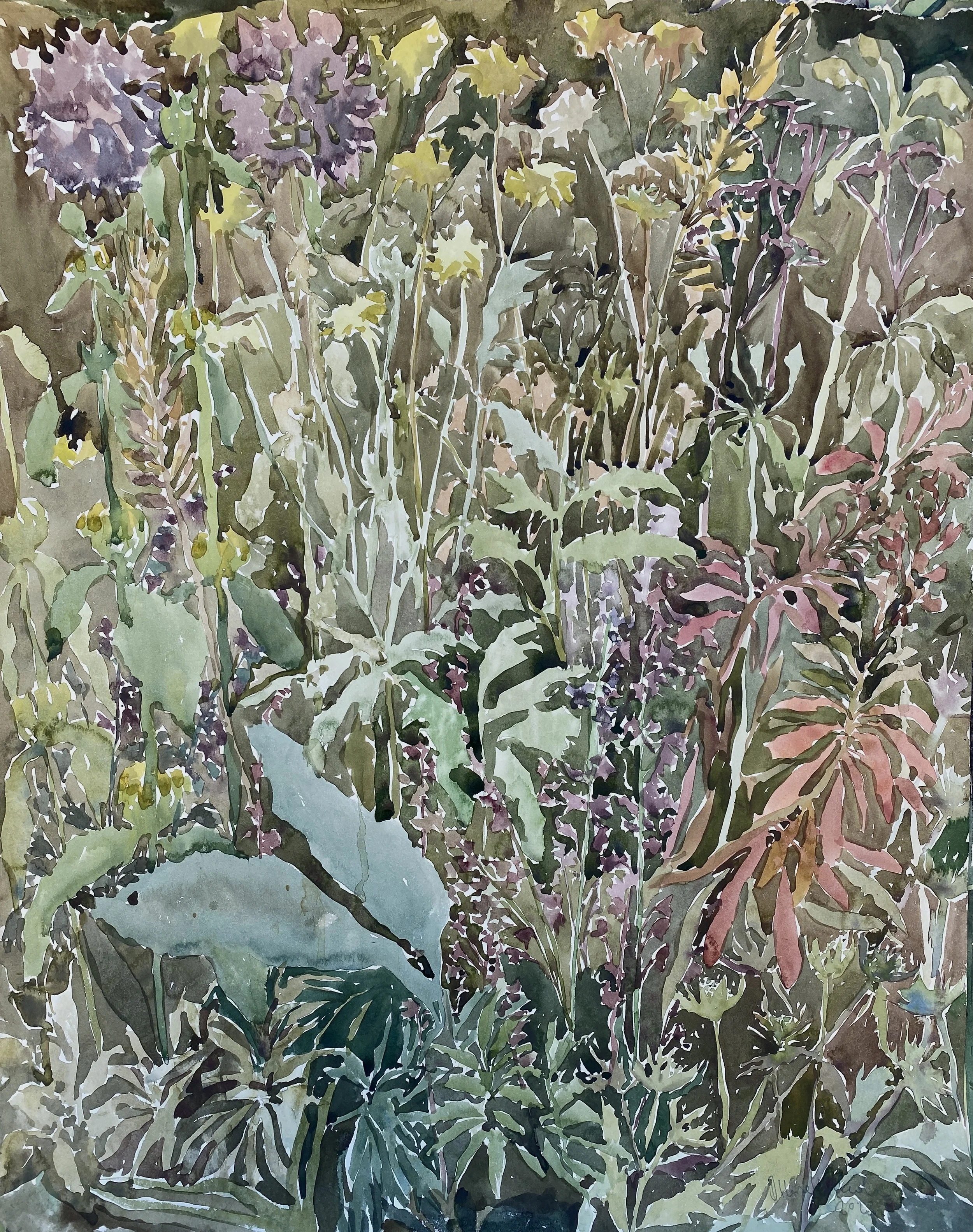 Euphorbia and Alliums, 2023.jpg