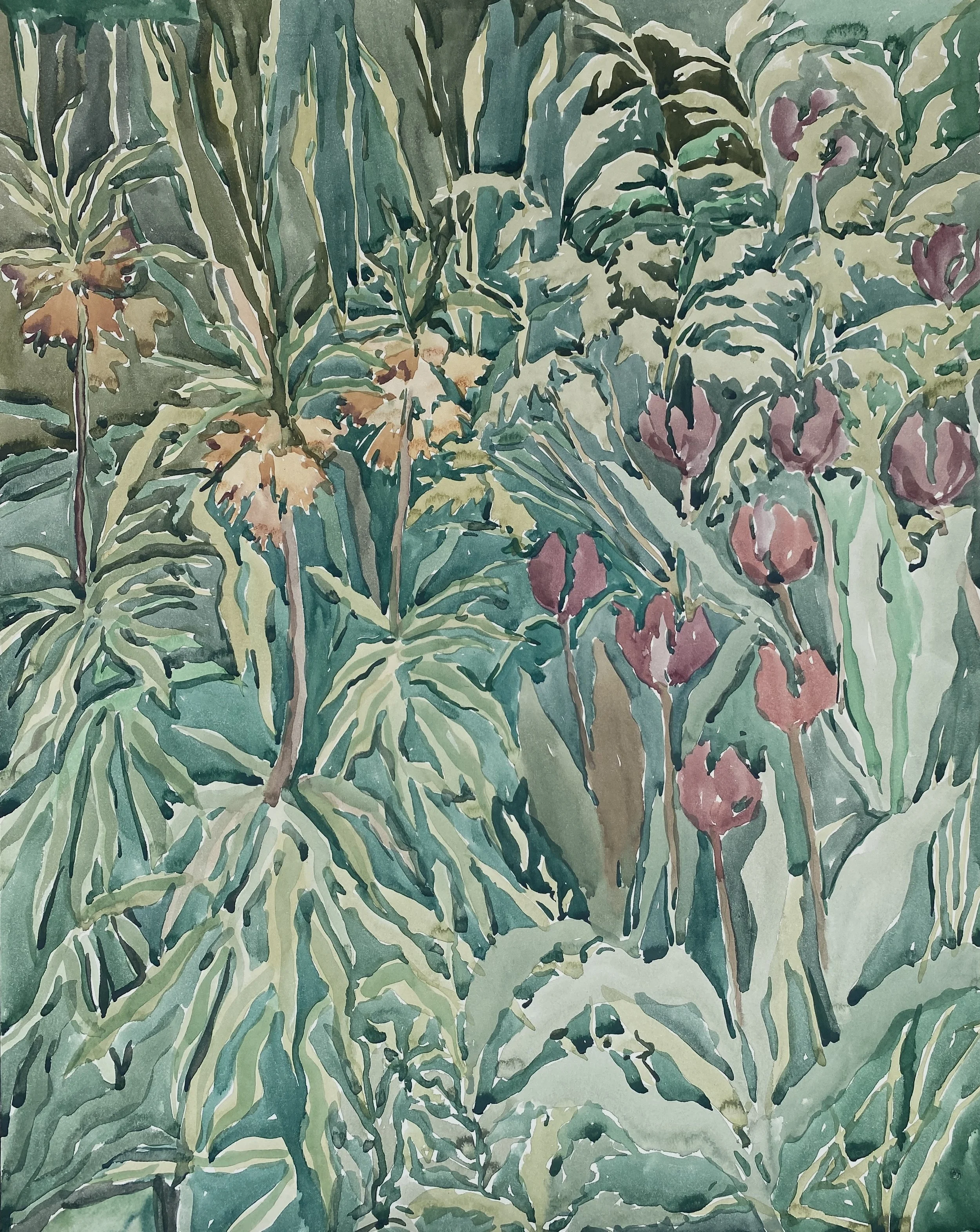 Tulips and Fritilaria, 2023, watercolour on paper, 56 x 70cm, Beatrice Hasell-McCosh.jpg