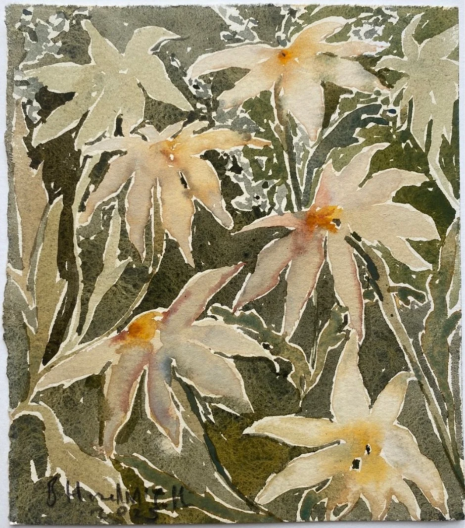 White Orchid, 2025, watercolour on paper, 15.5 x 17.5cm 
.
part of the @FreedomfromTorture auction @sothebys (also online)
.
The show is in person on 10 November and the online bidding closes at 20:45 GMT.

www.lineundertorture.org