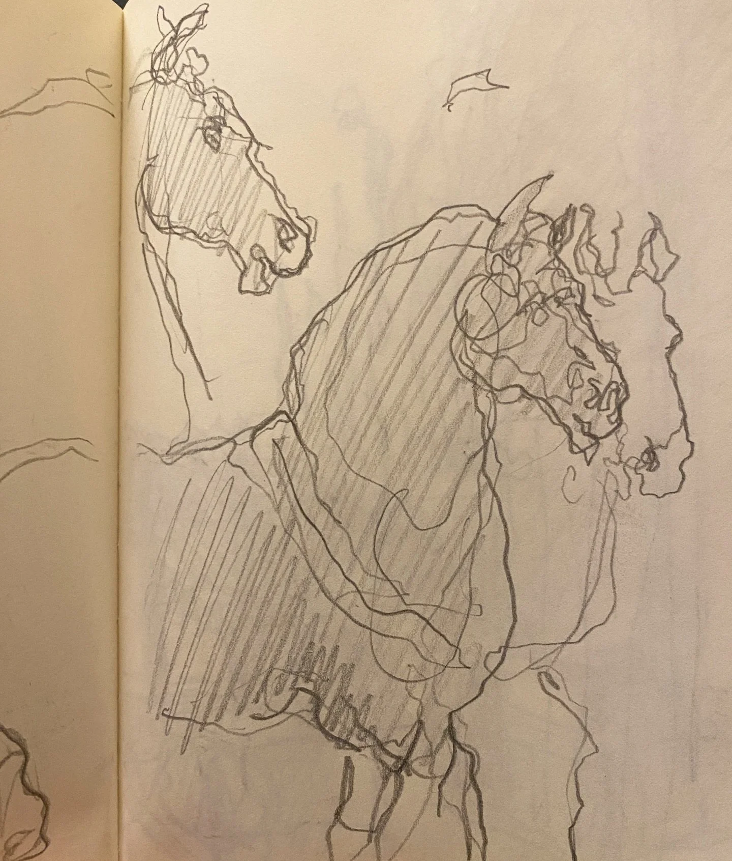 Year of the (St Marks) Horse, sketchbook from Venice in January
