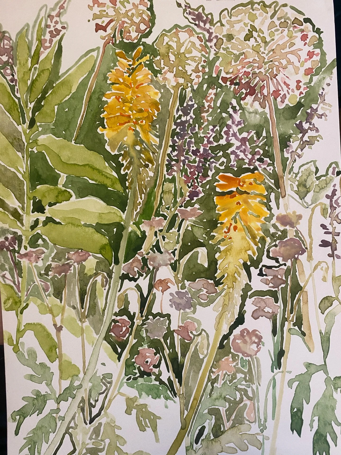 hazy heatwave days at @floristonflowerfarm for something q big