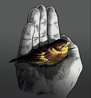 00_little_bird_of_happiness.jpg