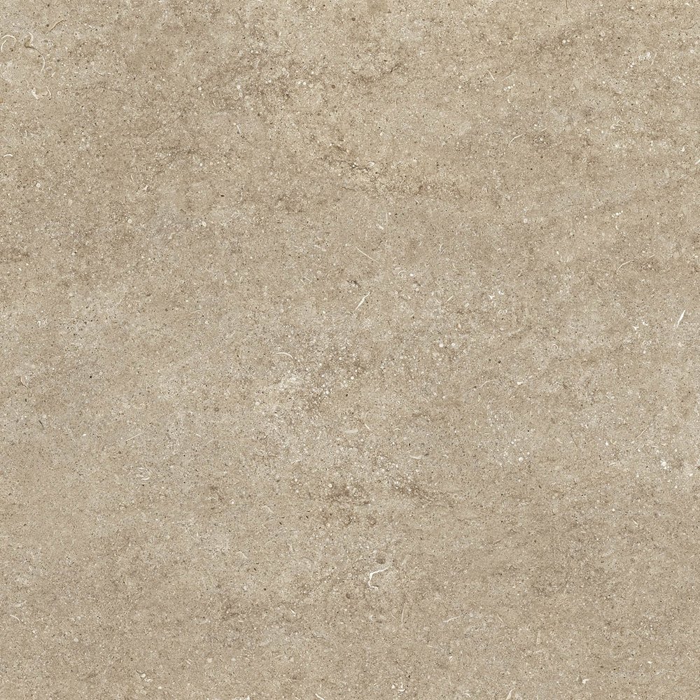 Taupe Fossil