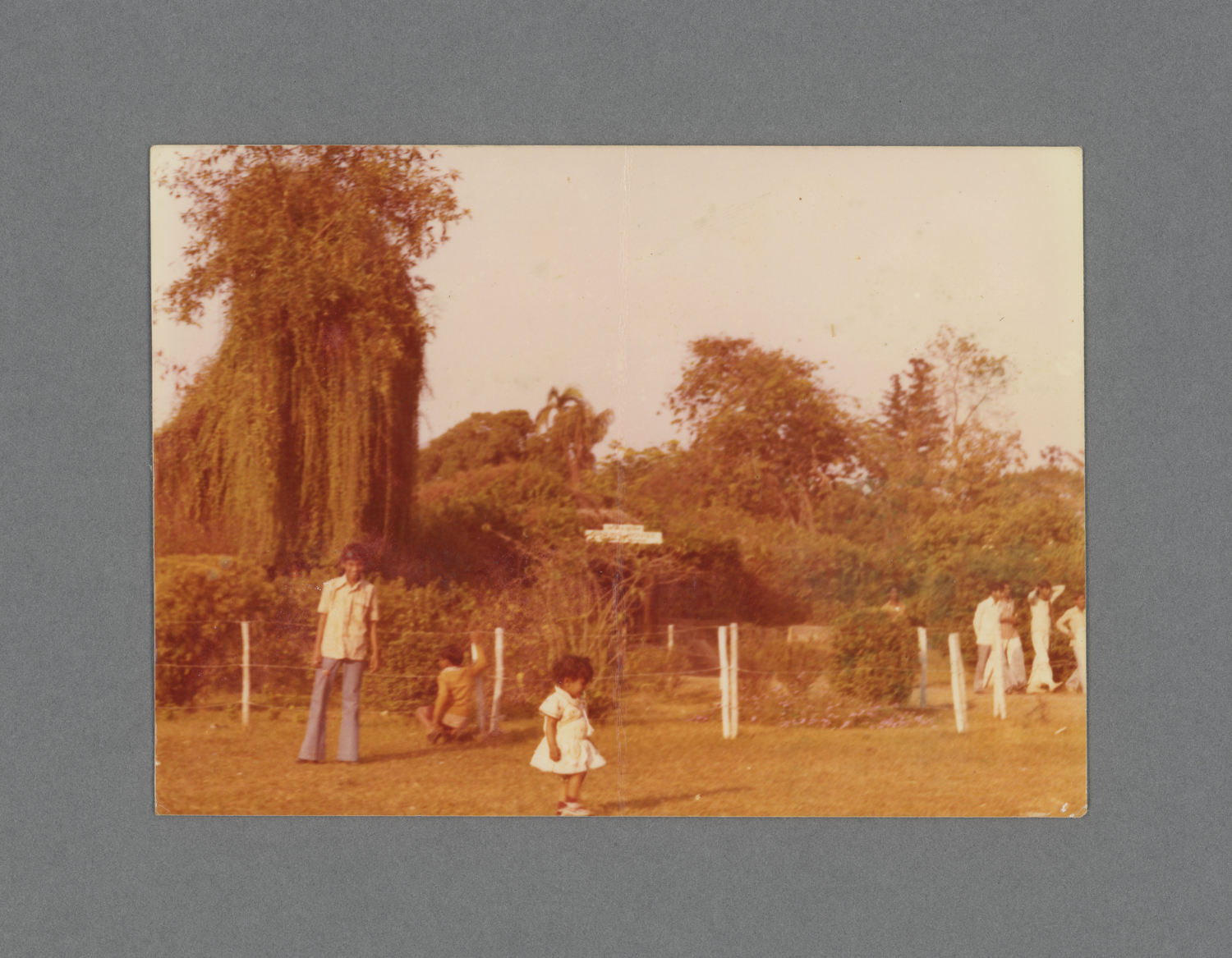 Pinjore Gardens, Haryana, India c.1976