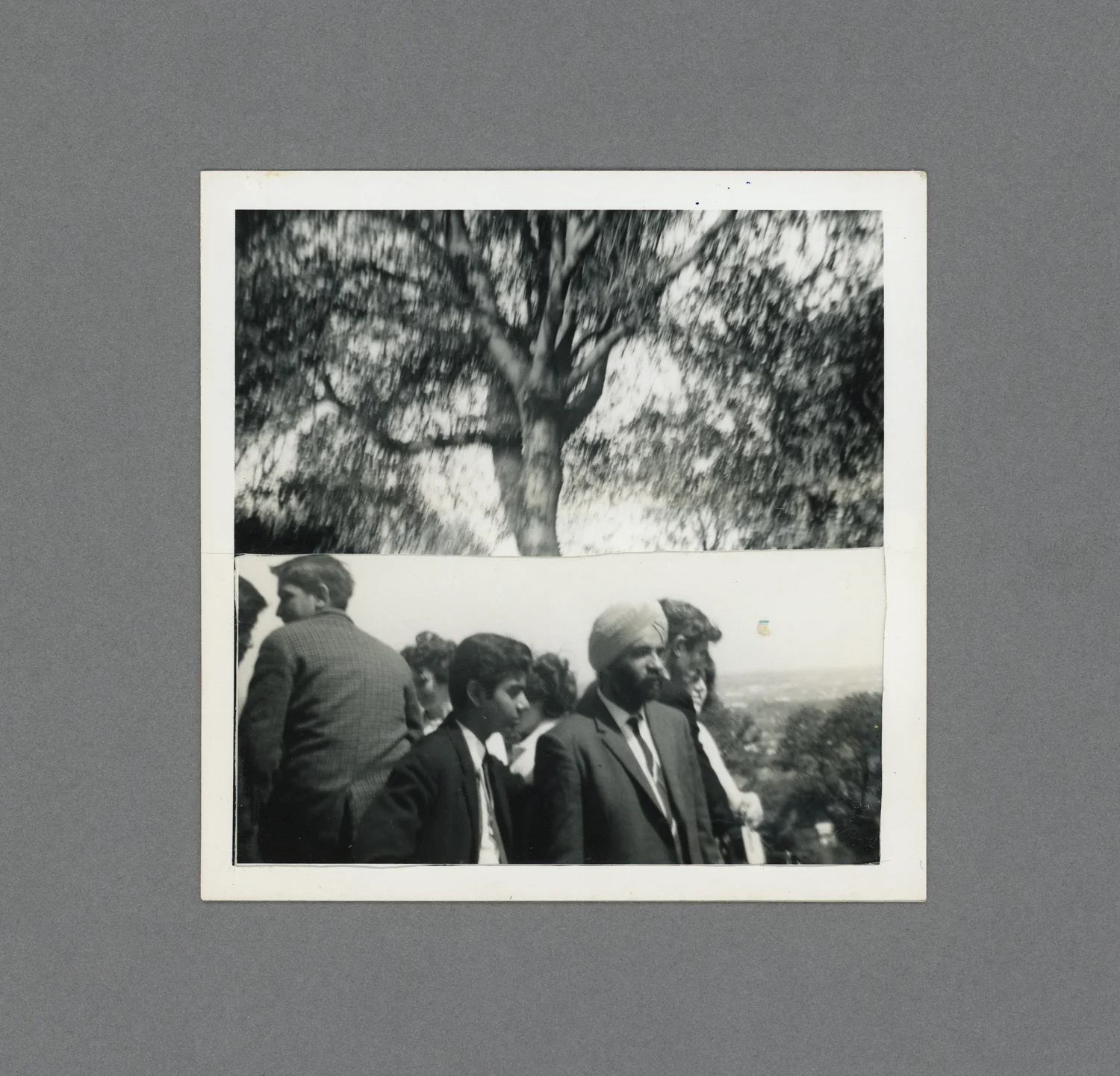 Dudley Zoo c.1966
