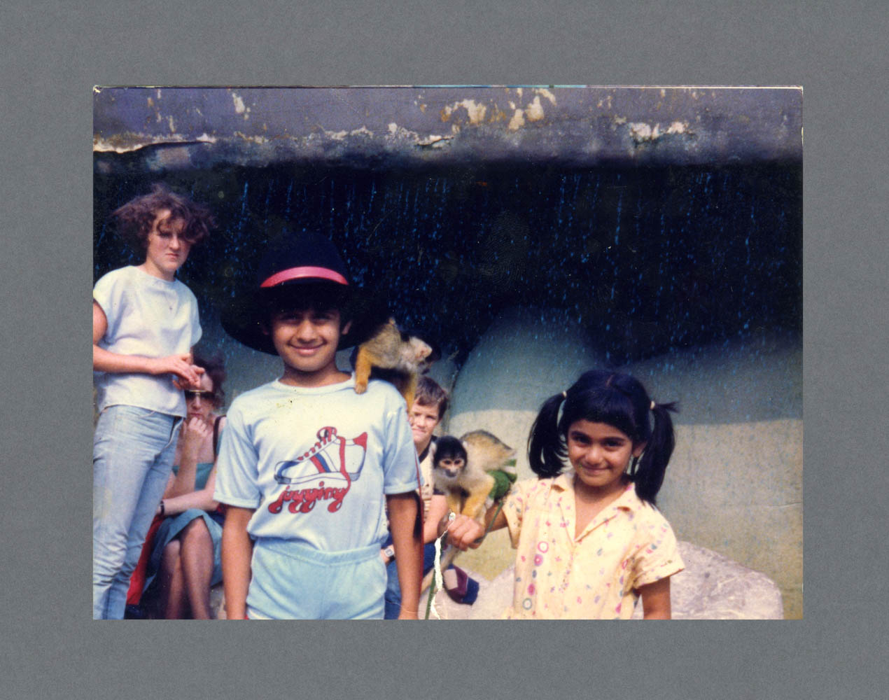 Safari Park, Bewdley c.1984