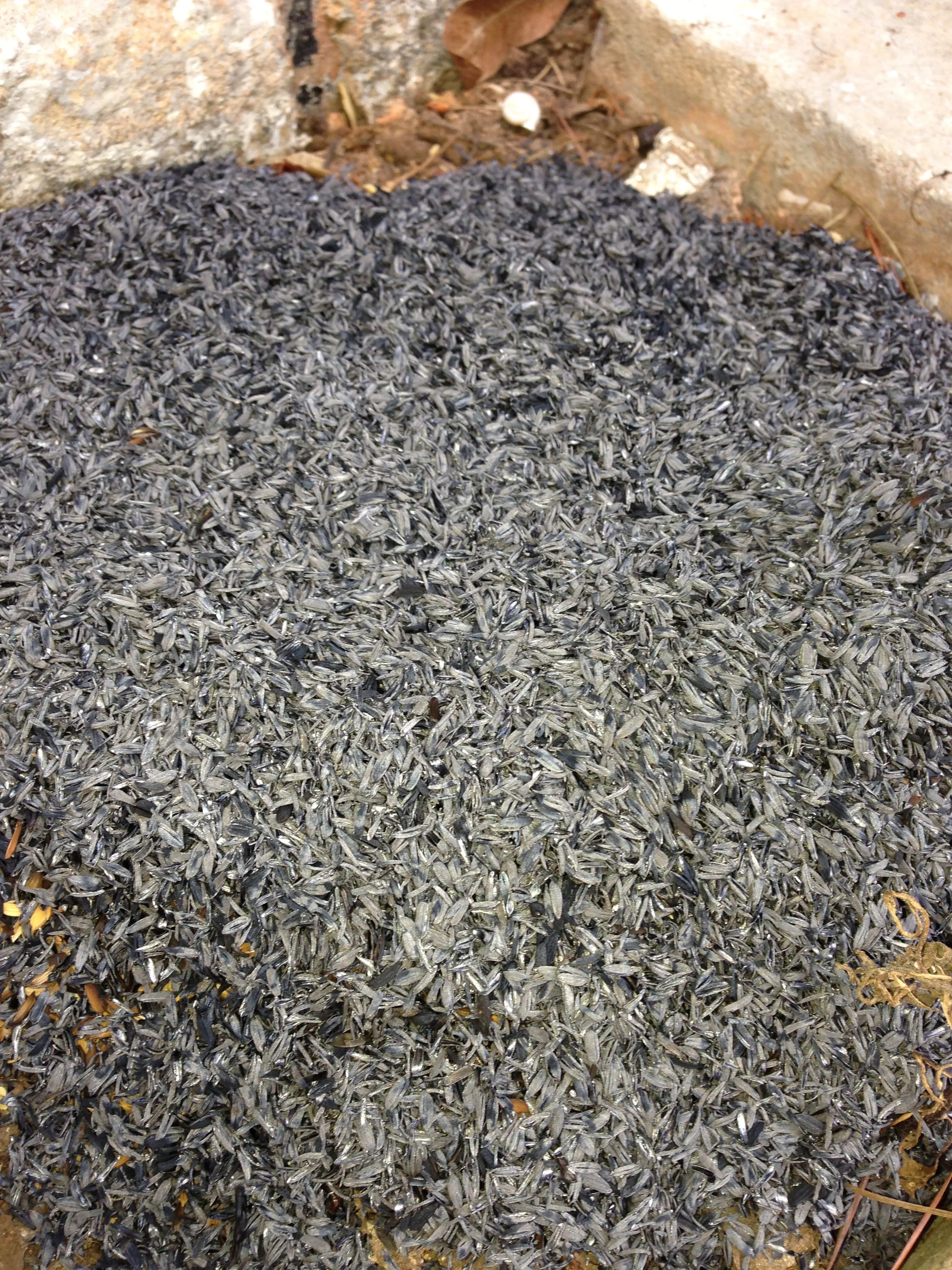 The waste from this process keeps the carbon out of the air, and is more valuable than the rice from which it came - makes a great refuge for anti-bacterial fungi for many applications (compost, animal feed and bedding, etc)