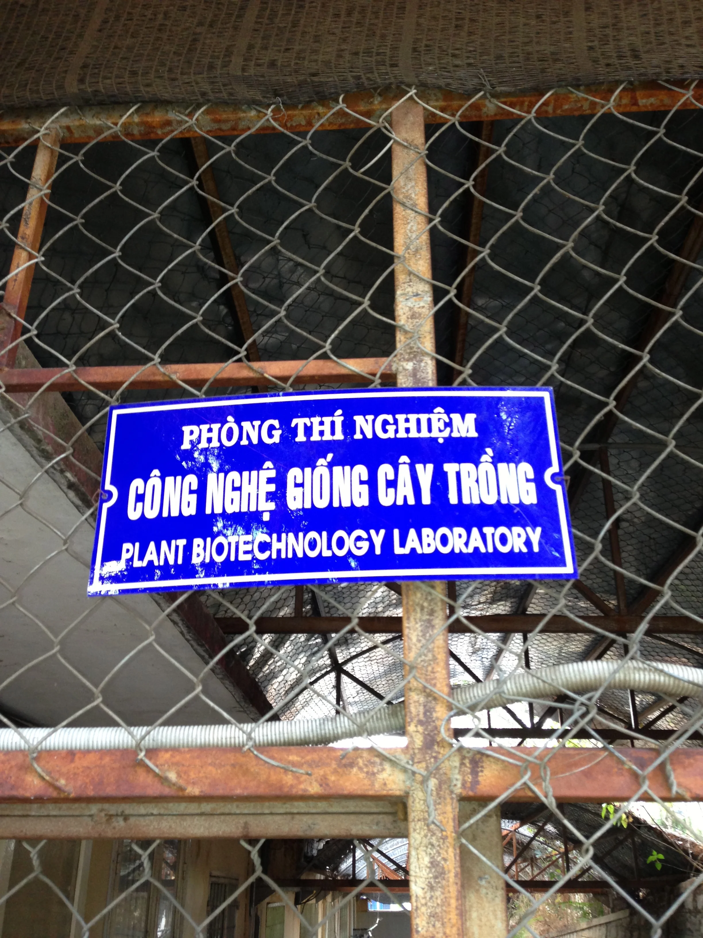Some groundbreaking work brewing at Dalat Univeristy's Agriculture Department