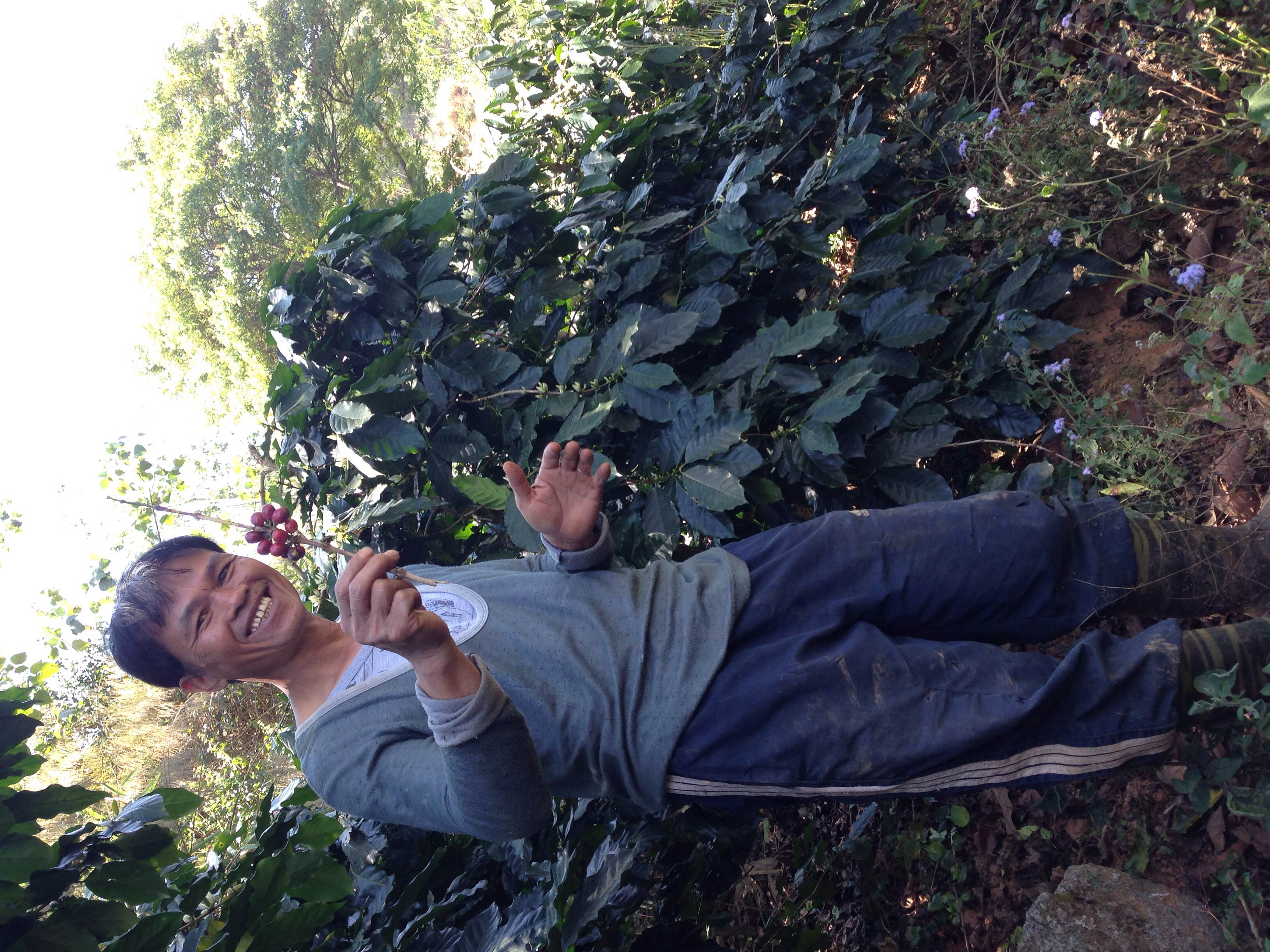 Son with a bunch of cherry from the larger trees