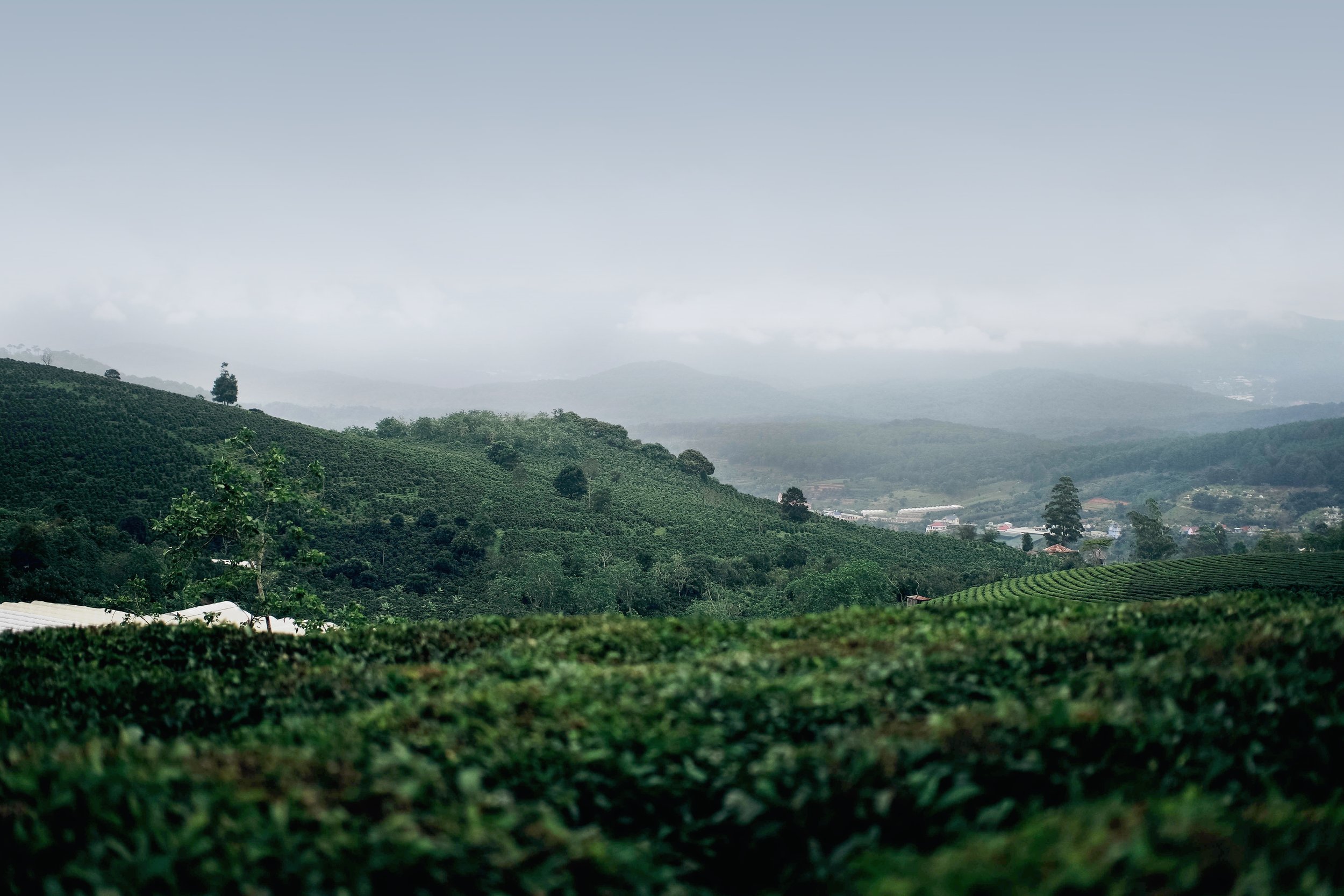 Saigon, Dalat, Saigon