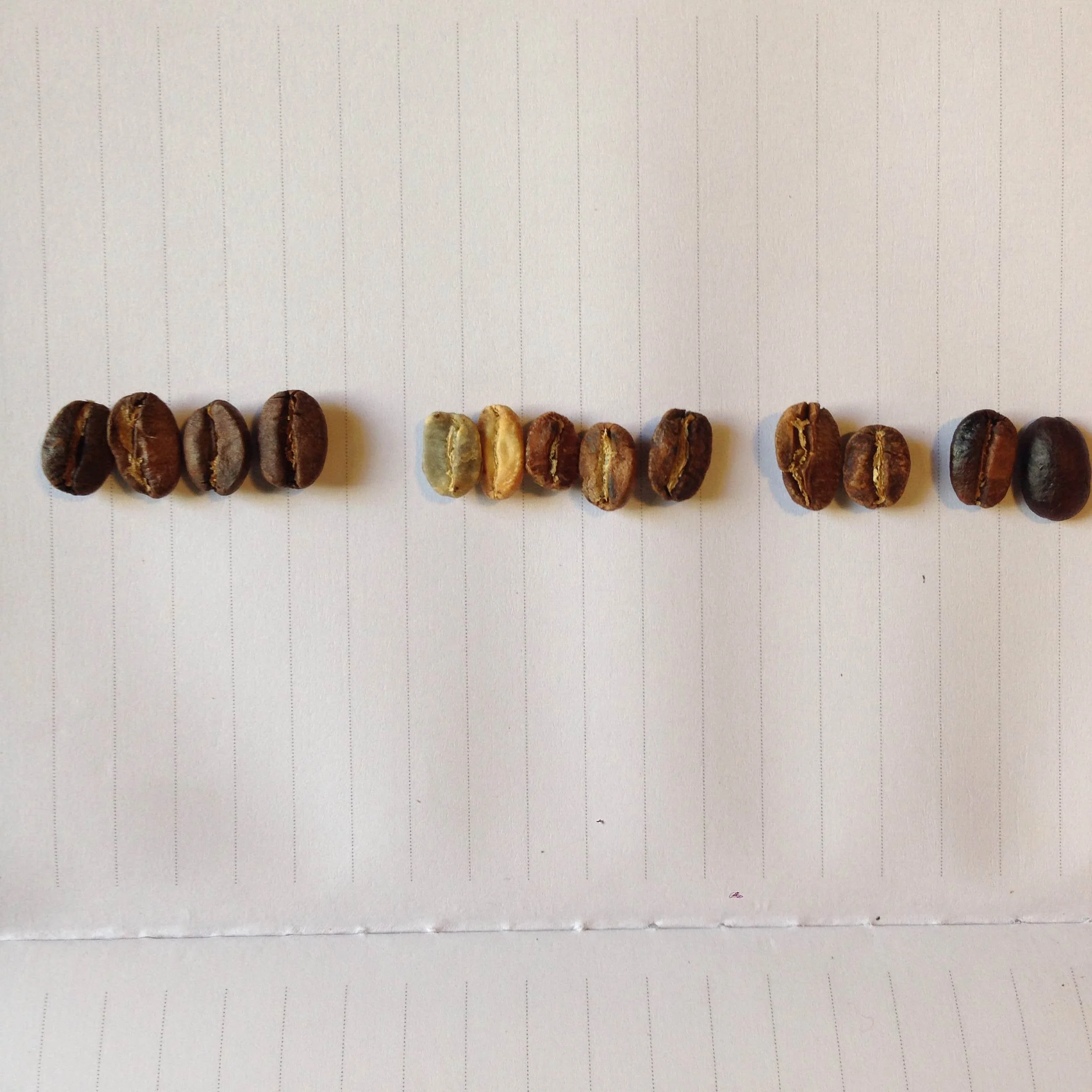 Roaster Training at The Workshop Saigon