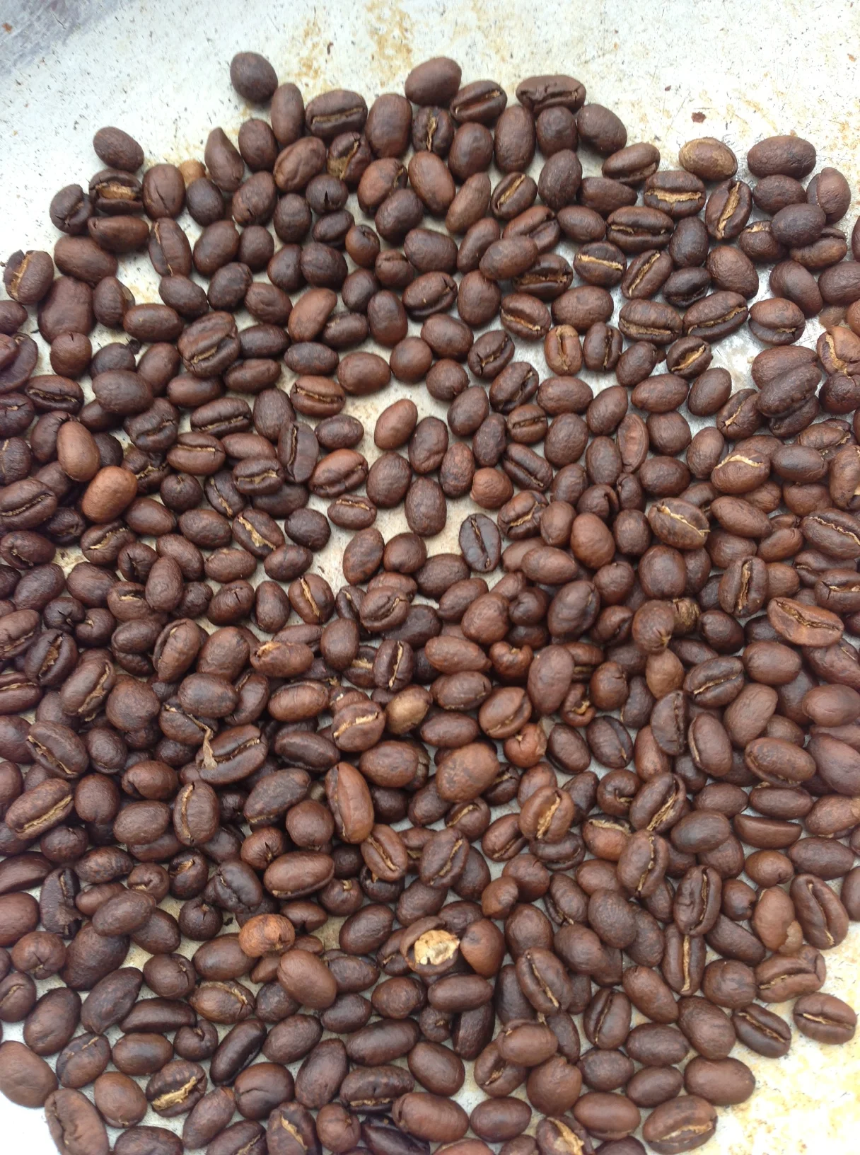 Pan Roast, Round 2