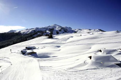 Study for the adjustment of the preliminary development concept of a greenfield mountain resort close to Valea Prahovei / prefeasibility study for the main destination hotel – 2015...2016
