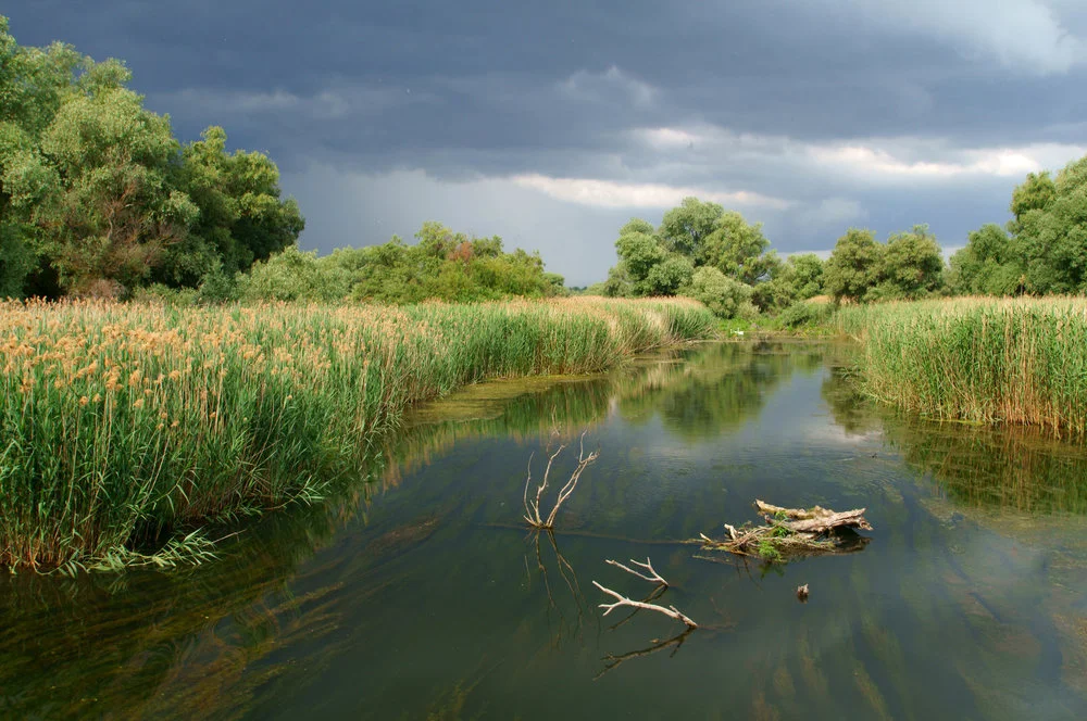 Intermediere si asistenta la tranzactionare pe partea cumparatoare pentru o mica insula in Delta Dunarii - Q1 2018