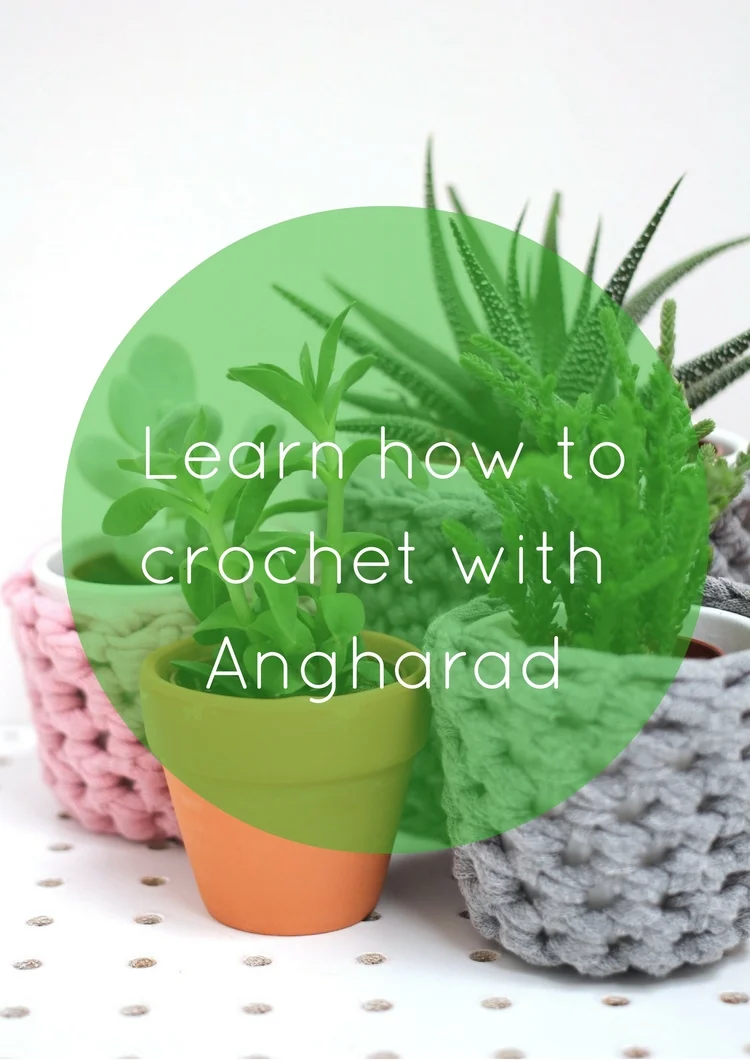 Learn+how+to+crochet+a+simple+plant+pot+coverq+(13).jpg