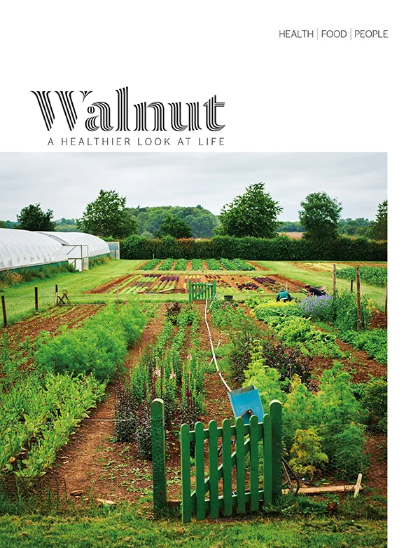 Walnut_01.jpg