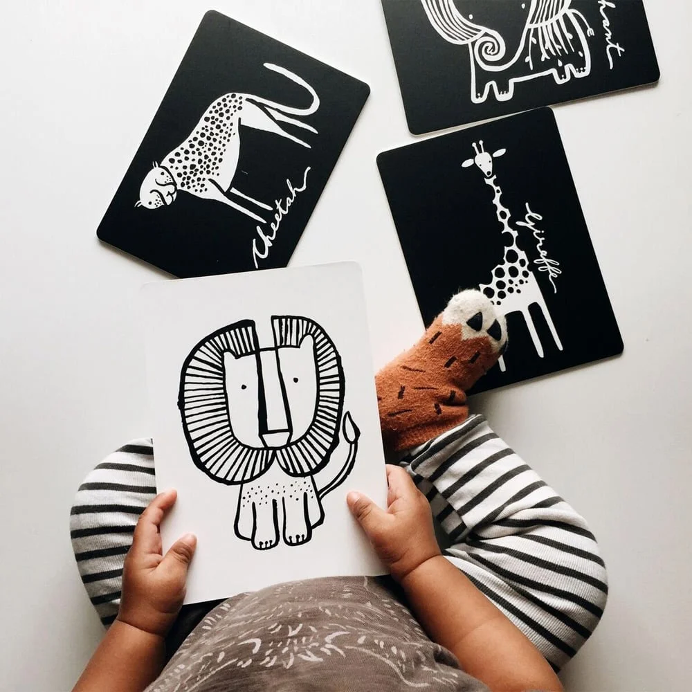 Animal cards