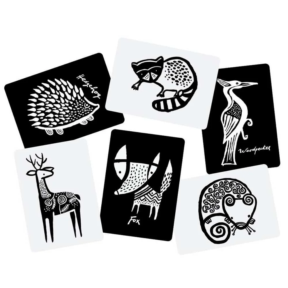 Black and white animal cards