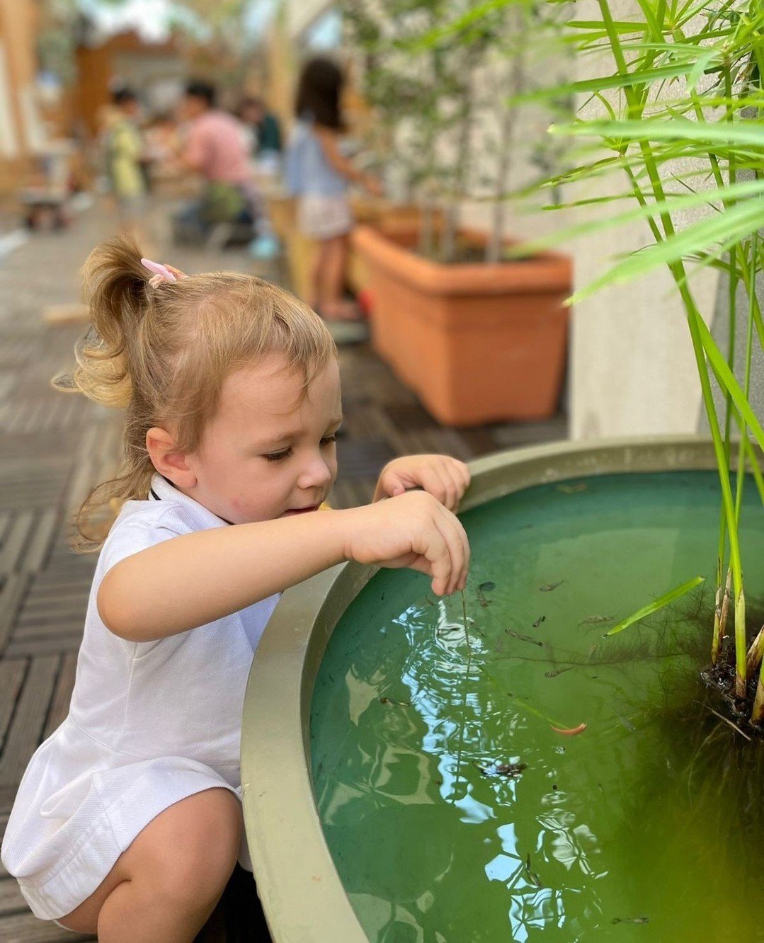 Drawing circles in the water to play with our fishy friends! They have multiplied and multiplied and now we have lots of little babies to observe too.⁠
⁠
⁠
#inspirephilosophy#learningthroughplay #playbasedlearning  #econursery #jumeirah #dubaitag #du