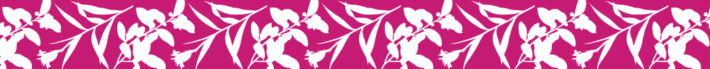 Young-and-Pure-Banner-Strip.jpg