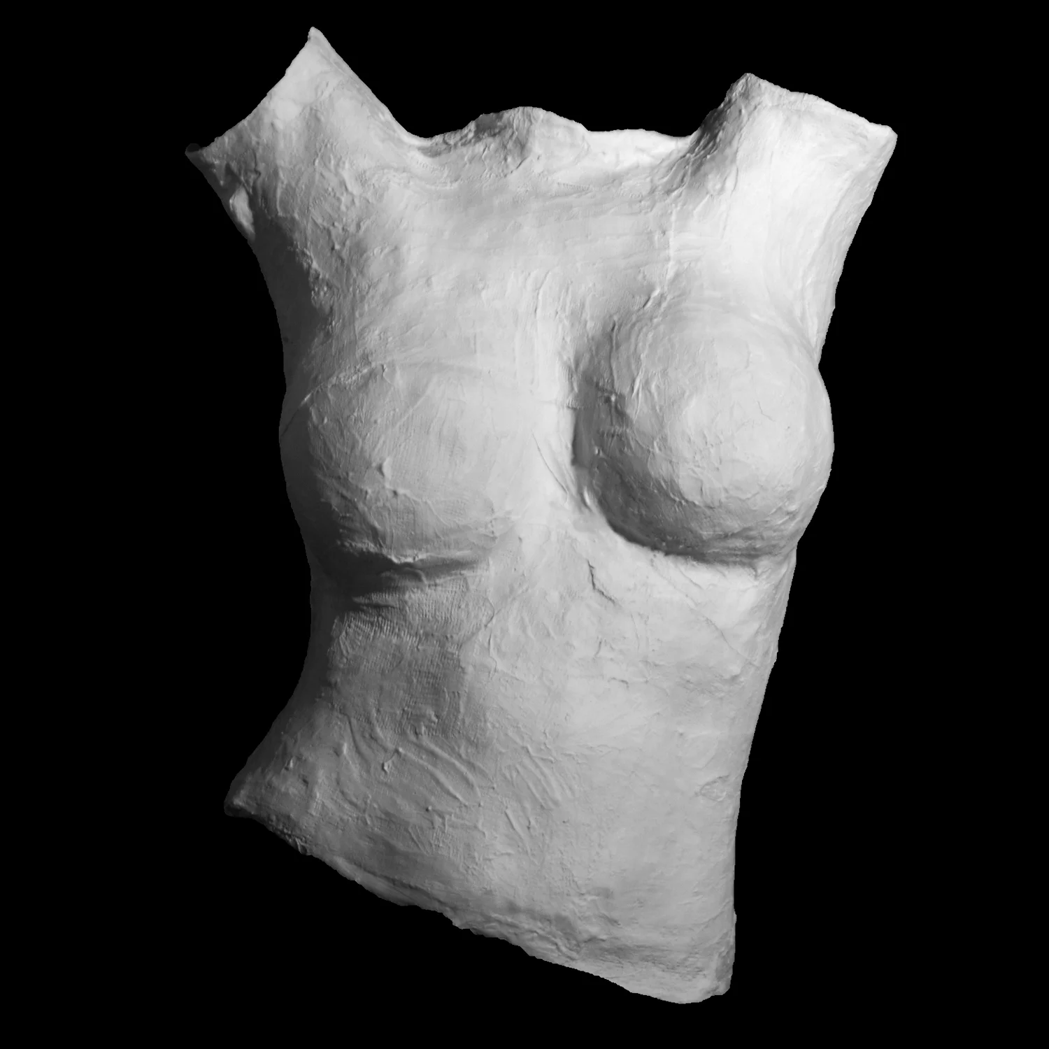 "Natasha" Plaster Cast