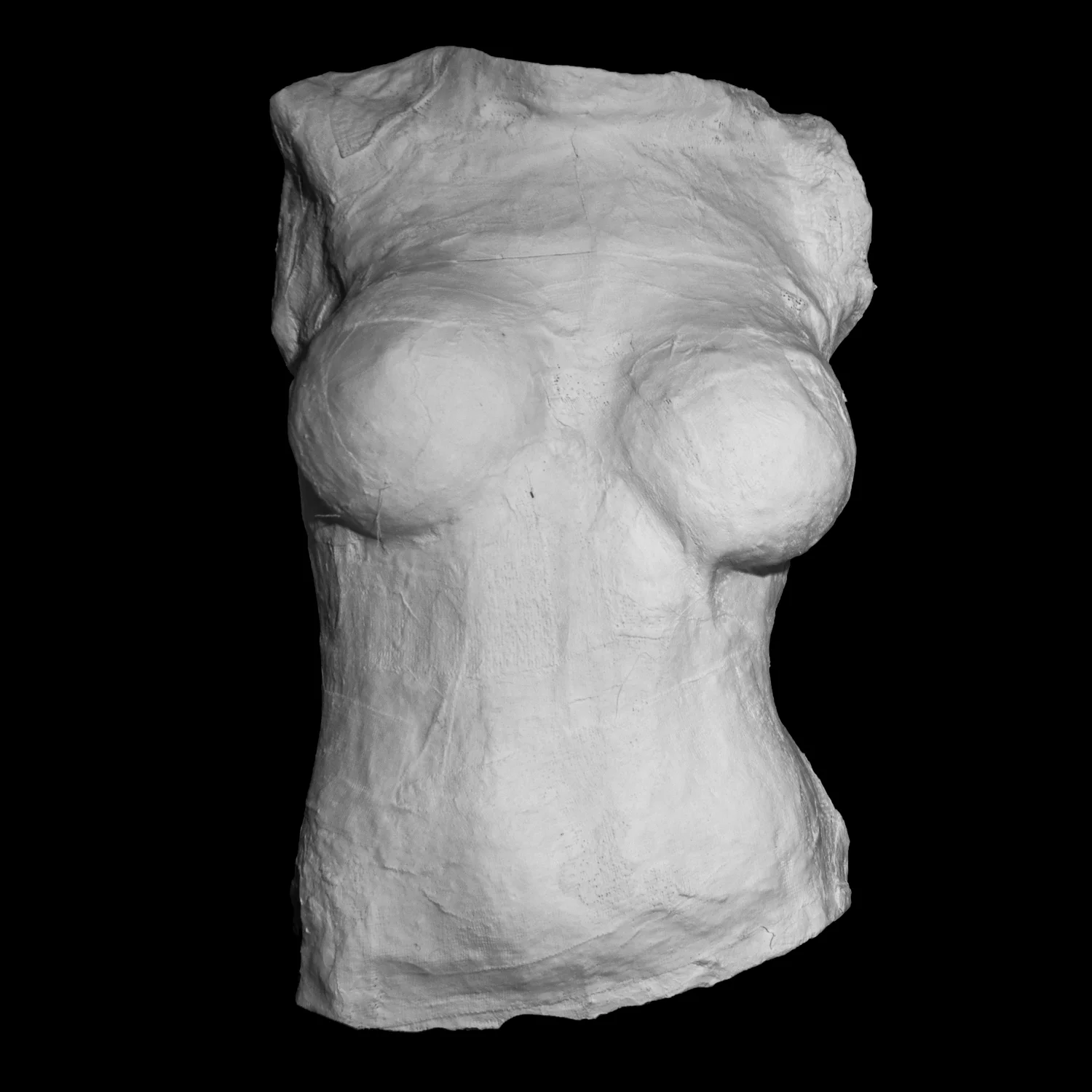 "Mia" Plaster Cast