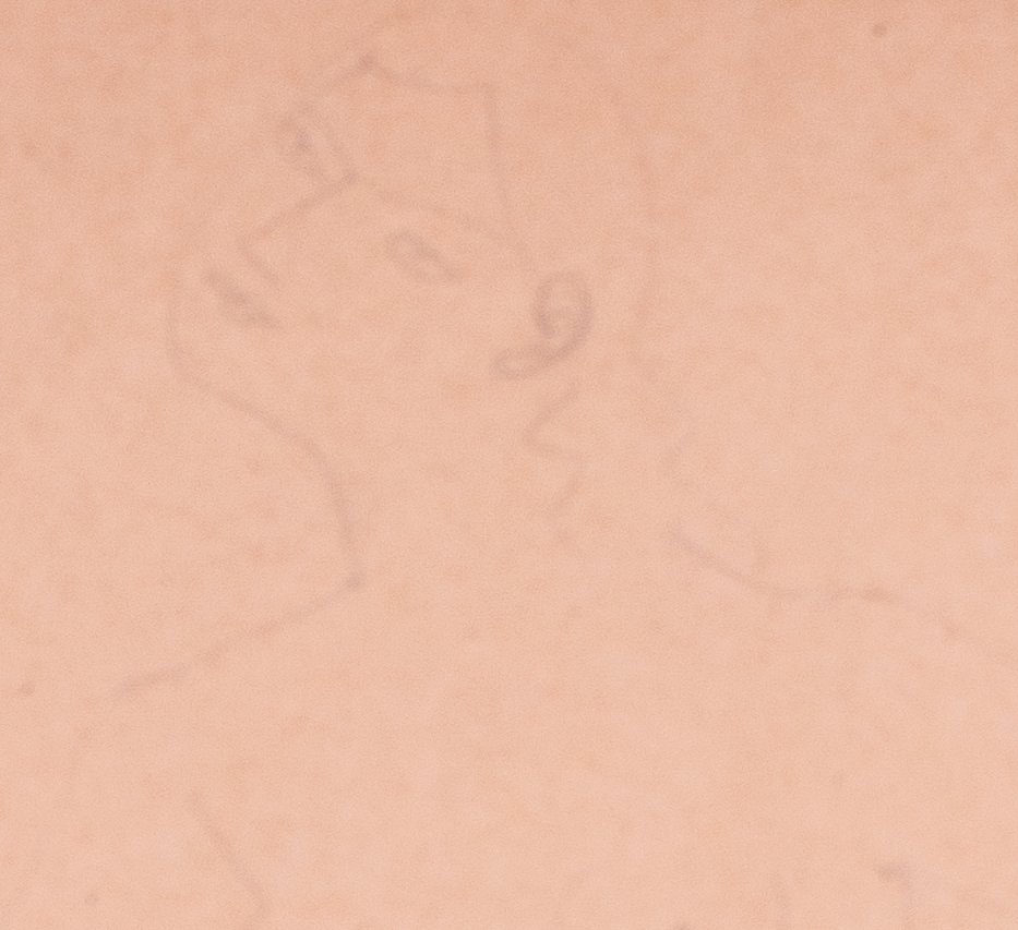 Derain5b.jpg