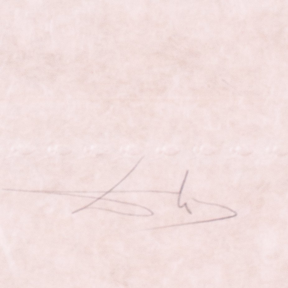 dali-insect3.jpg