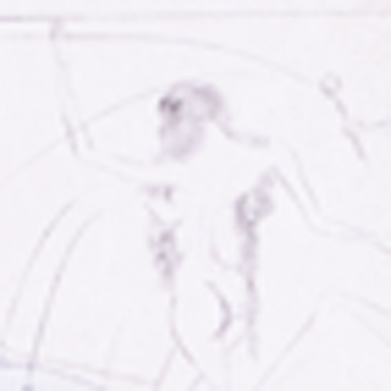 Dali17new4.jpg