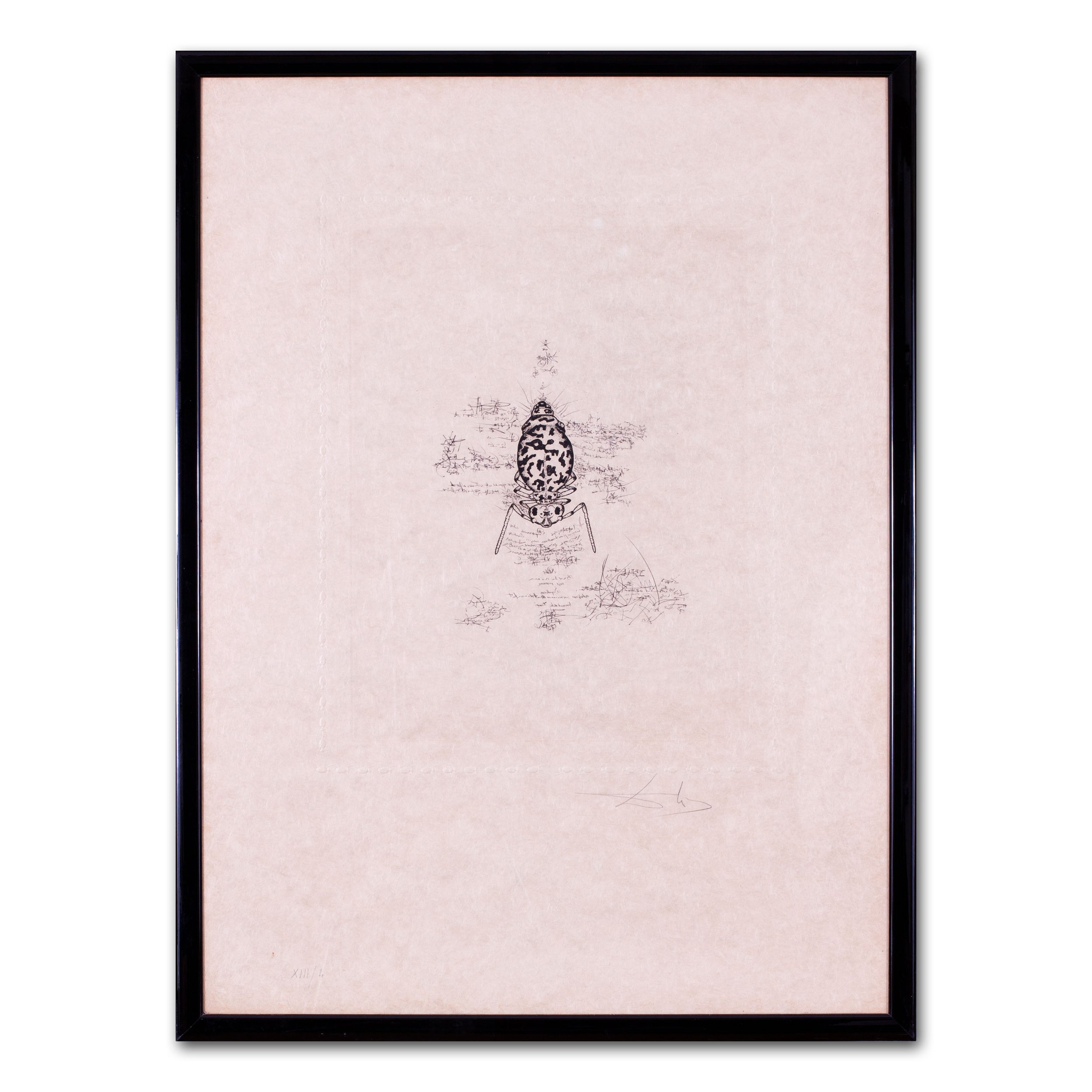 dali-insect-web.jpg