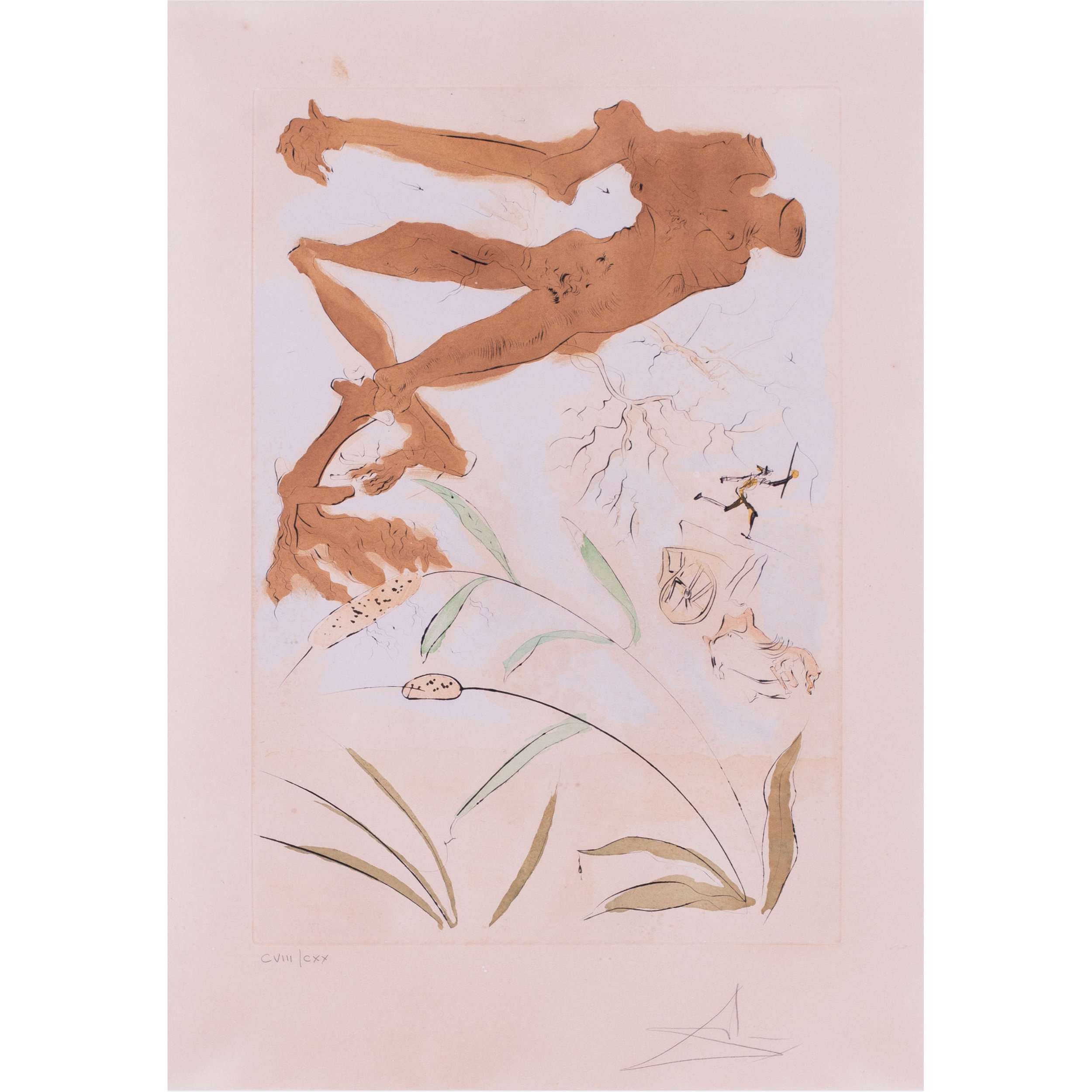 dali-oak2.jpg
