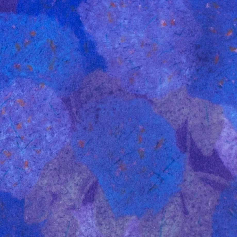 Myers-purple5.jpg