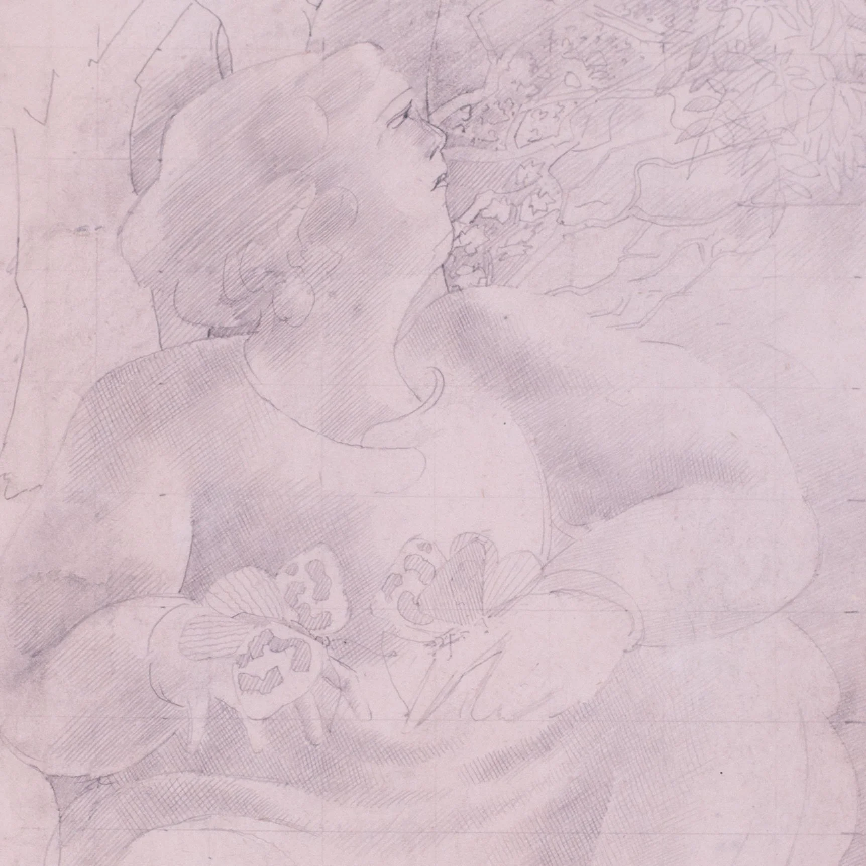 spencer-butterflies3.jpg