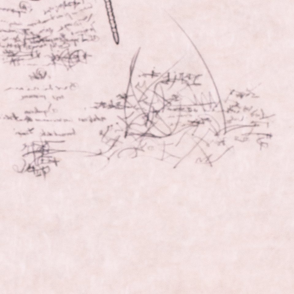 dali-insect4.jpg