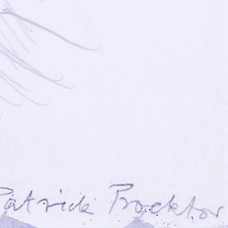 Proctor2d.jpg