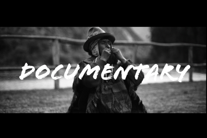 DOCUMENTARY REEL