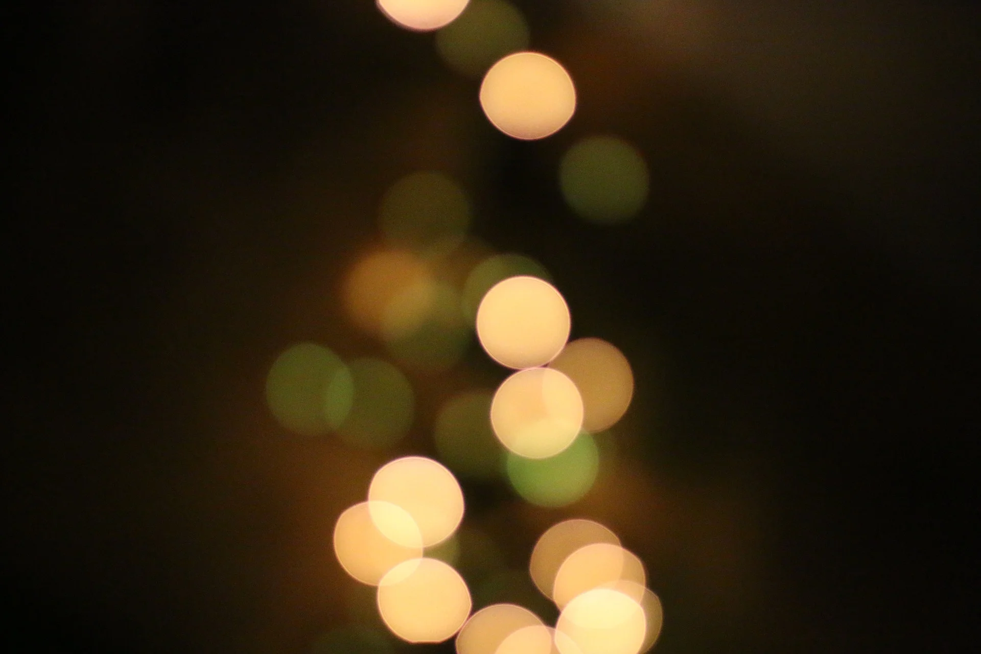 bokeh-1317237_1920 (1).jpg