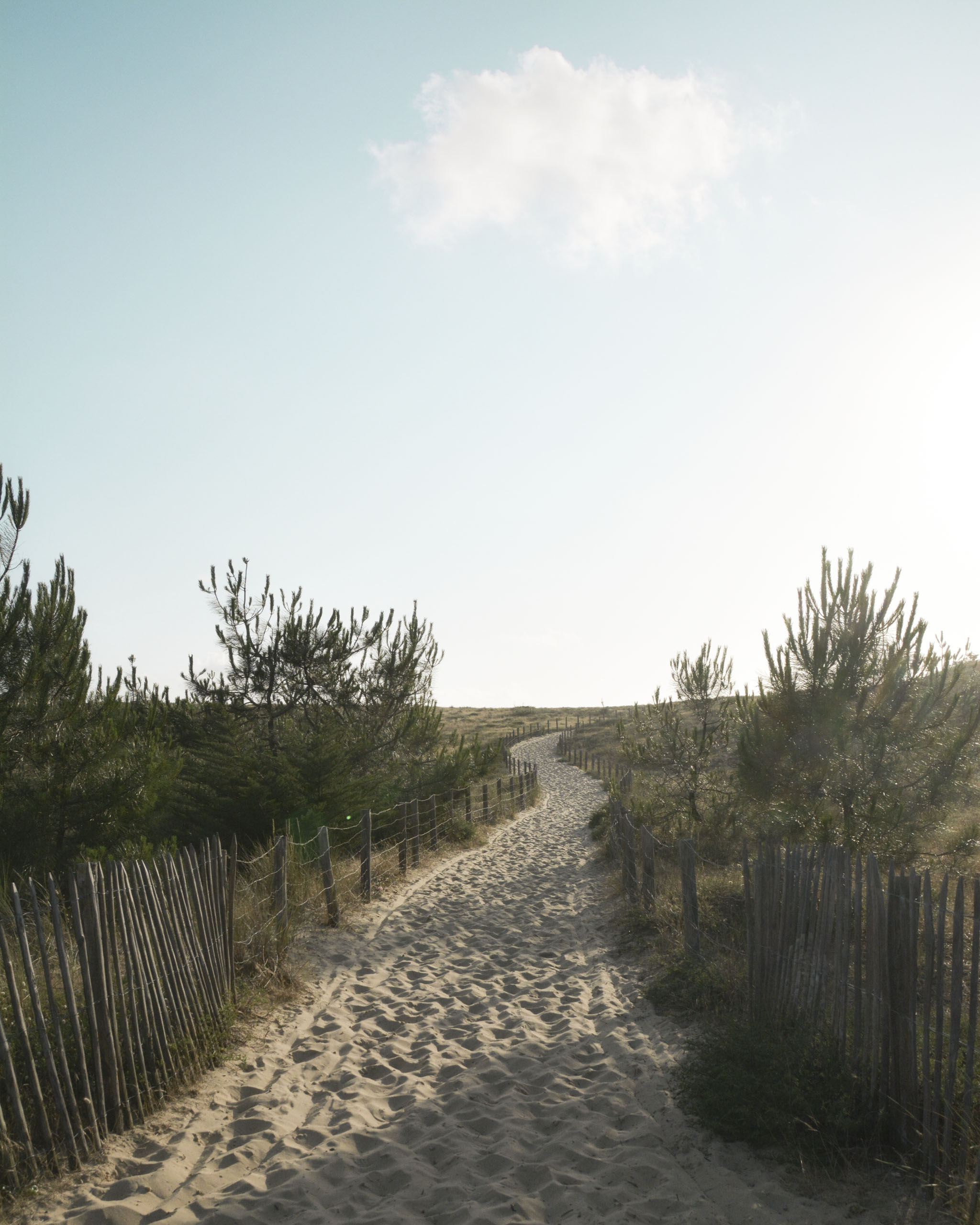 Cap Ferret