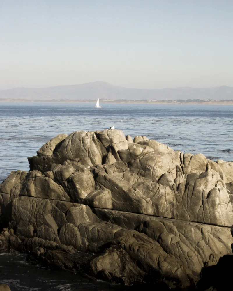 Monterey
