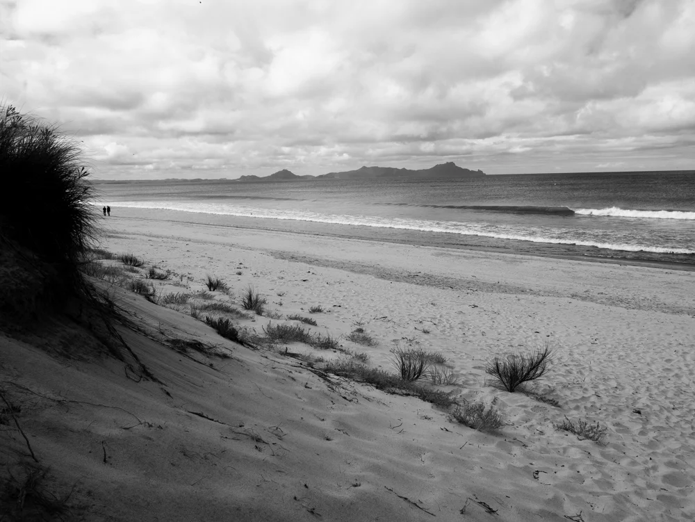 2016_NZ_C_0312.jpg