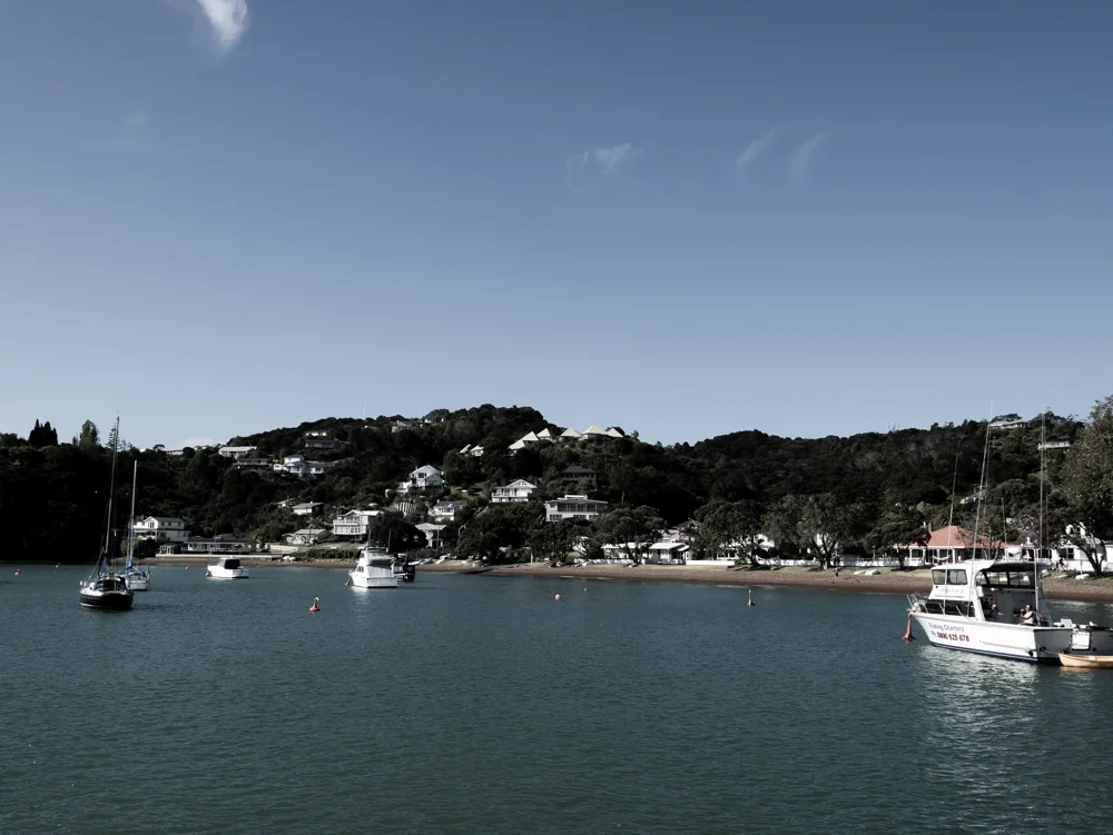 2016_NZ_C_0272.jpg