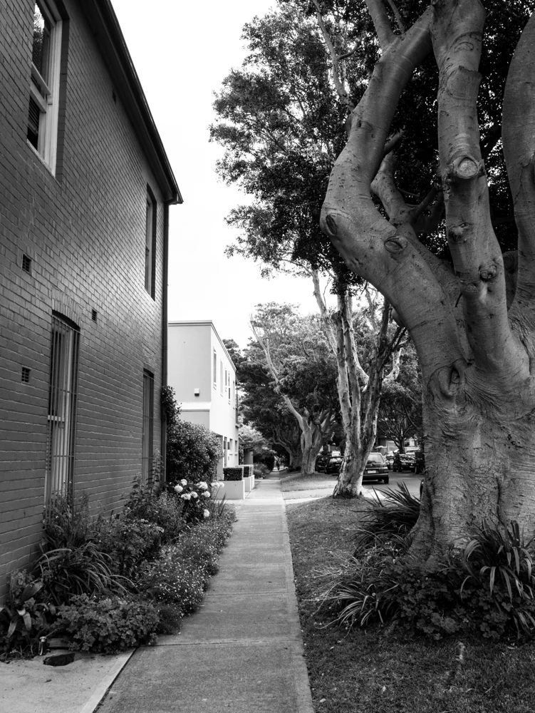 Around Bondi